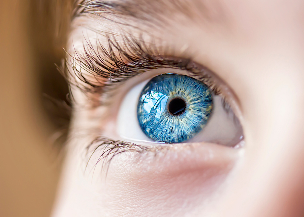 close up of a blue eye